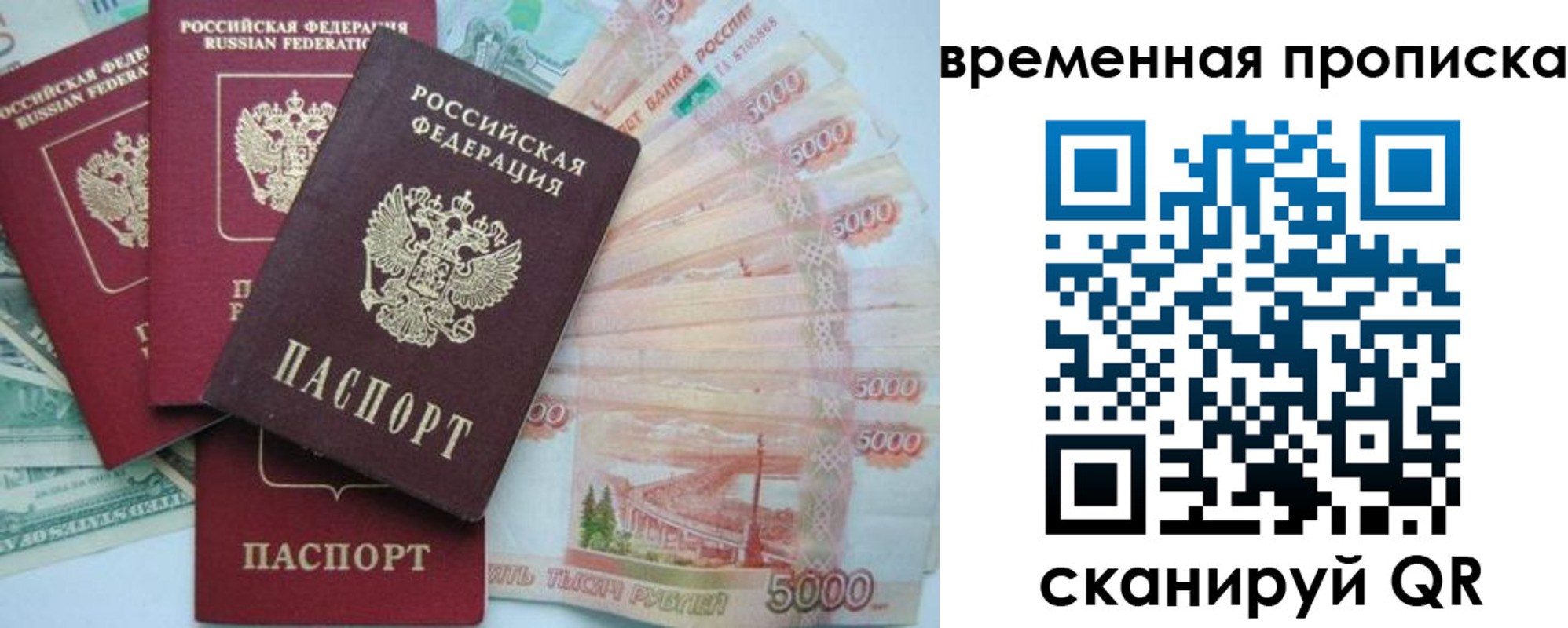 временная регистрация 2025 в Павловске