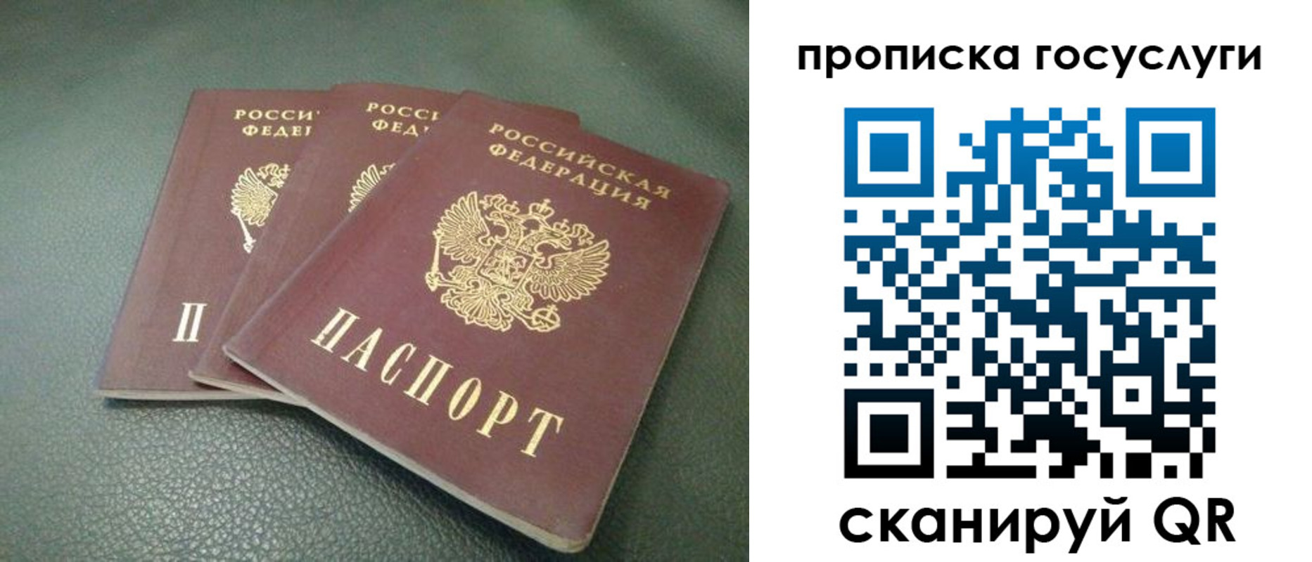 временная регистрация госуслуги в Павловске